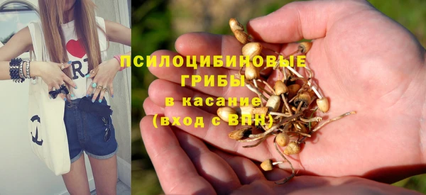 крисы Сураж
