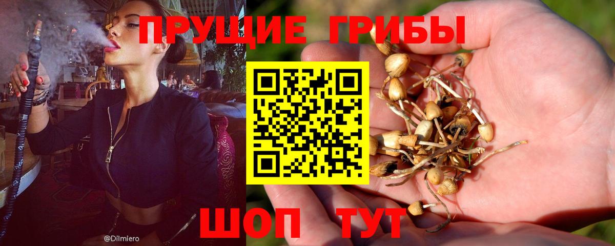 Псилоцибиновые грибы GOLDEN TEACHER Белебей