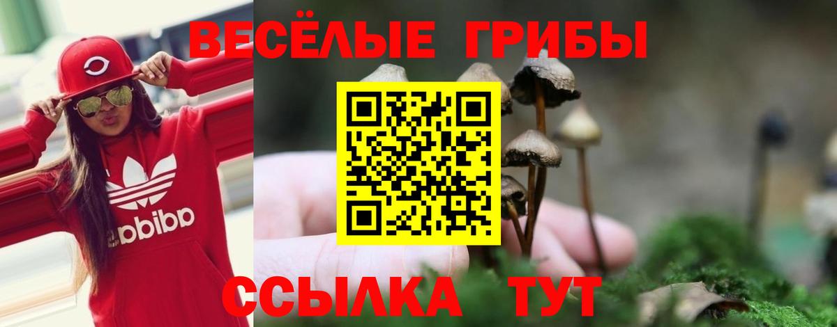 Белебей  Псилоцибиновые грибы мицелий  Вход с VPN 