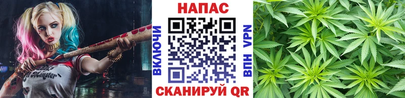 Канабис индика  Белебей 